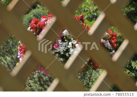 Summer landscape Summer landscape 78055513