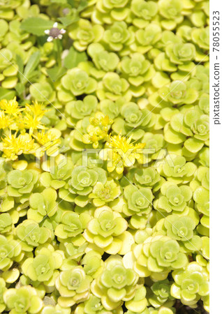 Summer landscape Summer landscape 78055523