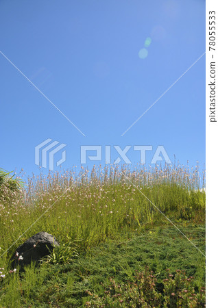 夏日風景 夏日風景 78055533