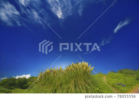 Summer landscape Summer landscape 78055556