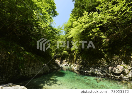 【奈良縣下北山村】善氣川的清澈水（善氣藍） 78055573