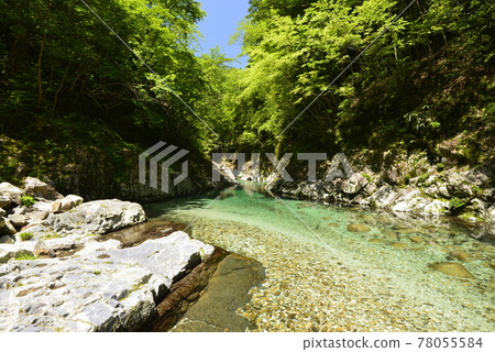 【奈良縣下北山村】善氣川的清澈水(善氣藍) 【奈良縣下北山村】善氣川的清澈水(善氣藍) 78055584
