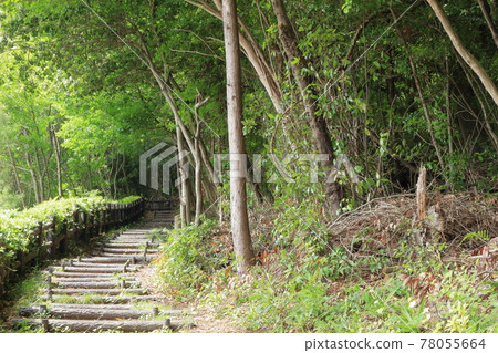 Climbing entrance of Mt. 78055664