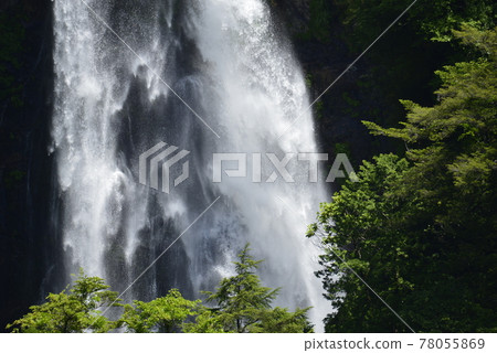 [Shimokitayama Village, Nara Prefecture] Fudonanaeno Falls (100 selections of waterfalls in Japan) 78055869