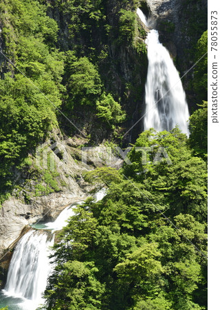 [Shimokitayama Village, Nara Prefecture] Fudonanaeno Falls (100 selections of waterfalls in Japan) 78055873