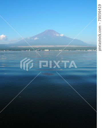 從長池水上樂園遠眺富士山 從長池水上樂園遠眺富士山 78056419