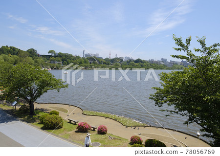 Senba Lake Park and Senba Lake in Mito City in early summer Senba Lake Park and Senba Lake in Mito City in early summer 78056769