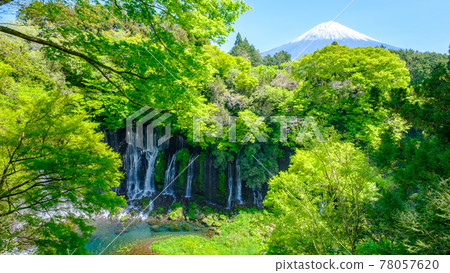 Fuji and Shiraito Falls 78057620