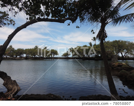 卡拉維普阿魚塘 78058807