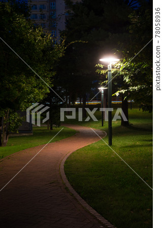 Summer night park 78058936