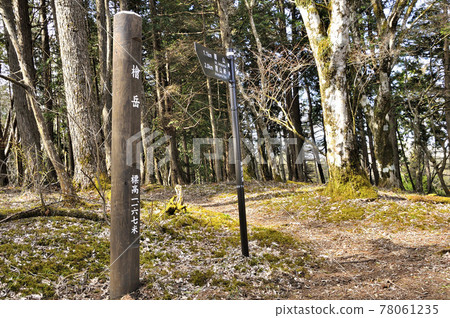 Haruyama tree runway, the summit of Mt. Hinokidake in the Tanzawa Mountains Haruyama tree runway, the summit of Mt. Hinokidake in the Tanzawa Mountains 78061235
