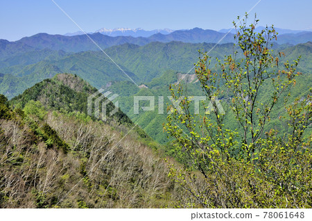 View of Yatsugatake and the Chichibu Mountains from the summit of Mt. Ryokami View of Yatsugatake and the Chichibu Mountains from the summit of Mt. Ryokami 78061648