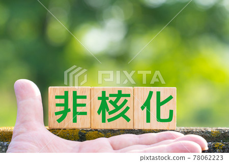 圖像無核化 78062223