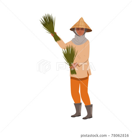 Asian Farmer in Straw Conical Hat Holding Bundle of Rice Grass Vector Illustration Asian Farmer in Straw Conical Hat Holding Bundle of Rice Grass Vector Illustration 78062816