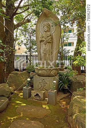 龍雲寺（世田谷區） 78062972