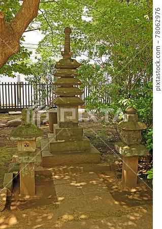 Ryuunji Temple (Setagaya) Ryuunji Temple (Setagaya) 78062976