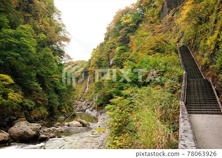 Oyasukyo Onsen, Yuzawa City, Akita Prefecture, Autumn leaves along the Minase River Oyasukyo Onsen, Yuzawa City, Akita Prefecture, Autumn leaves along the Minase River 78063926