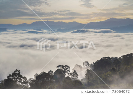 Khao Khai Nui, Sea of fog in the winter mornings at sunrise, New landmark to see beautiful scenery. Khao Khai Nui, Sea of fog in the winter mornings at sunrise, New landmark to see beautiful scenery. 78064072