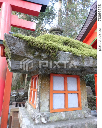 Lantern and moss Lantern and moss 78064368
