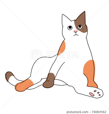 Full-body illustration of a cat, a cute calico cat sitting uncle Full-body illustration of a cat, a cute calico cat sitting uncle 78064562