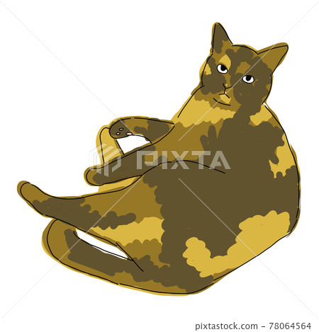 Full-body illustration of a cat, a rusty cat lying down Full-body illustration of a cat, a rusty cat lying down 78064564