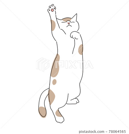 Full-body illustration of a cat, a tabby cat playing with a toy Full-body illustration of a cat, a tabby cat playing with a toy 78064565