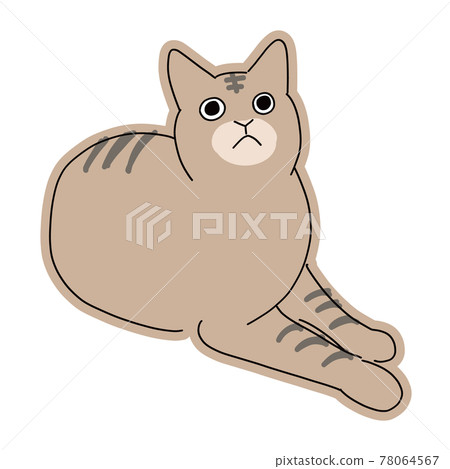 Full-body illustration of a cat, staring at the top, a sitting Kijitora cat Full-body illustration of a cat, staring at the top, a sitting Kijitora cat 78064567