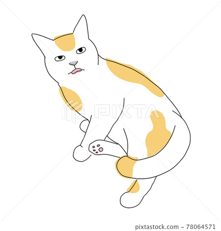 Full-body illustration of a cat, a brown-white cat with a tongue sticking out 78064571