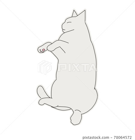 一隻貓的全身圖,一隻睡得很香的灰貓 一隻貓的全身圖,一隻睡得很香的灰貓 78064572