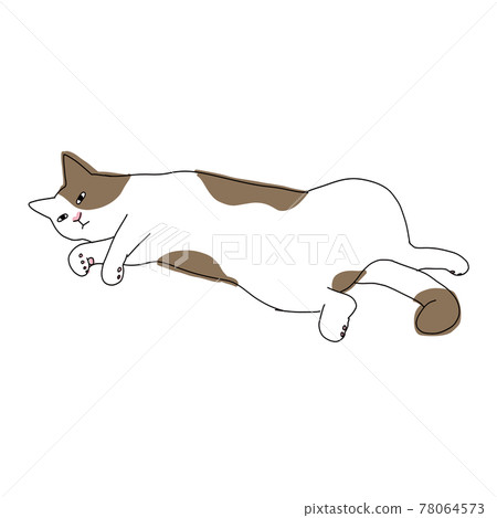 一隻貓的全身插圖，一隻棕白色的貓躺著 78064573