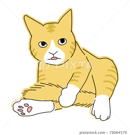 Full-body illustration of a cat, a brown tabby cat with a tail hair Full-body illustration of a cat, a brown tabby cat with a tail hair 78064579