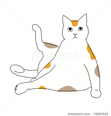 Full-body illustration of a cat, a calico cat in a yoga pose 78064582