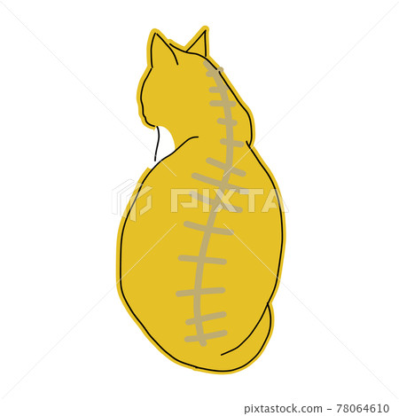 一隻貓的全身圖，一隻坐著的貓的後視圖 78064610