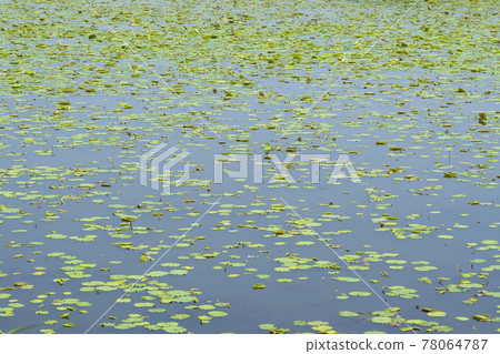 Hwarang Amusement Park Hwarang Amusement Park 78064787