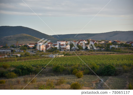 Blue sky and white clouds, staring at the wide open and beautiful rural scenery. 78065137