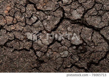 Cracked soil texture 78065713