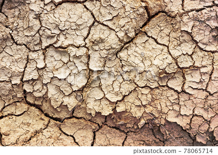 Cracked soil texture 78065714