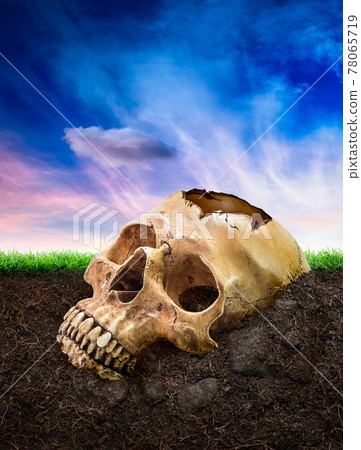 Broken human skull bury underground Broken human skull bury underground 78065719