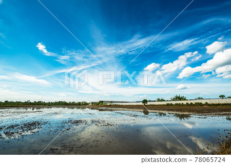 Agriculture land Agriculture land 78065724