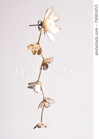 Earrings Earrings 78065855