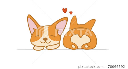 Corgi dogs relax. Two Funny Puppies. Sketch for your design Corgi dogs relax. Two Funny Puppies. Sketch for your design 78066592