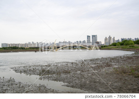 京畿道始興市始興潮汐生態園 78066704