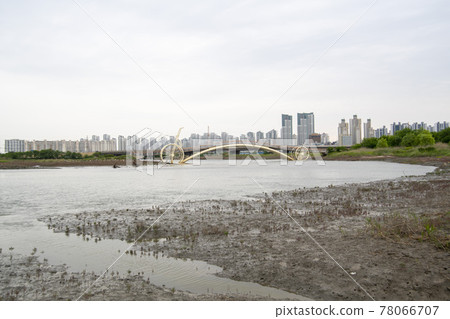 京畿道始興市始興潮汐生態園 京畿道始興市始興潮汐生態園 78066707