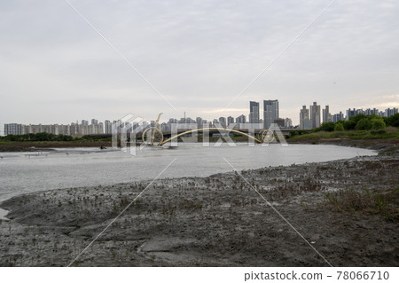 Siheung Tidal-Ecological Park, Siheung City, Gyeonggi-do Siheung Tidal-Ecological Park, Siheung City, Gyeonggi-do 78066710