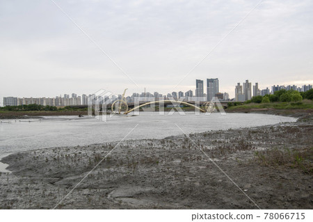 京畿道始興市始興潮汐生態園 78066715
