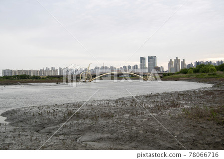 京畿道始興市始興潮汐生態園 78066716