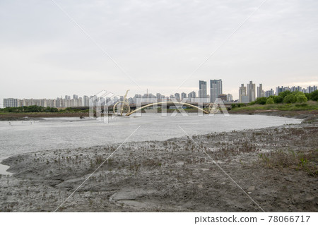 京畿道始興市始興潮汐生態園 78066717