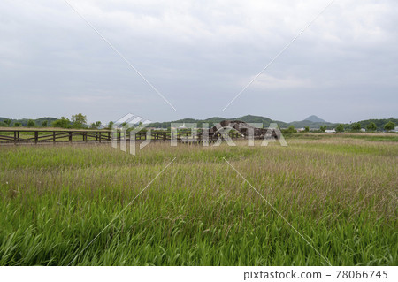 Barajidari 78066745