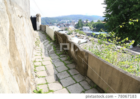 Jeongneunggol. Alley. Roses. House. Vegetable garden Jeongneunggol. Alley. Roses. House. Vegetable garden 78067183