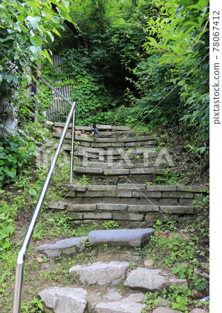 正陵谷,胡同,花園,玫瑰,房屋 正陵谷,胡同,花園,玫瑰,房屋 78067412
